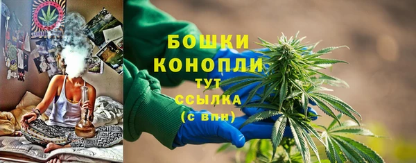 мдпв Галич