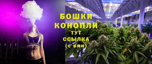 ECSTASY Няндома