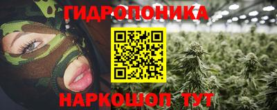 гашик Донской