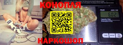 дживик Камышлов