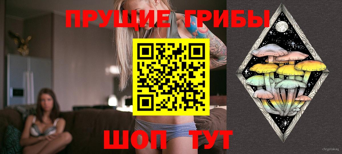 Кандалакша  Псилоцибиновые грибы прущие грибы  купить наркотик  Псилоцибиновые грибы Psilocybe  Вход с VPN 