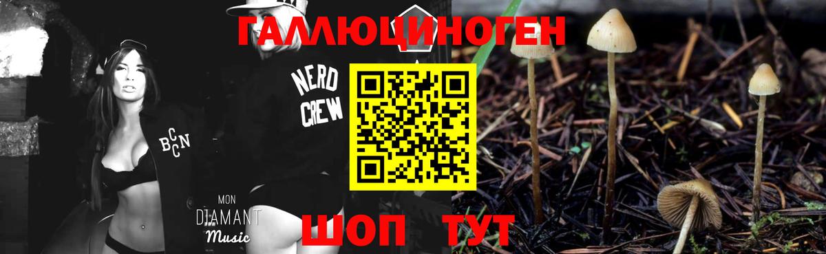 Псилоцибиновые грибы мицелий  Кандалакша  Псилоцибиновые грибы мицелий 