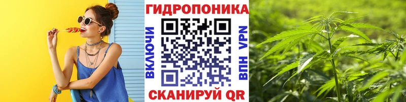 Бошки Шишки тримм  купить наркотики сайты  Кандалакша 